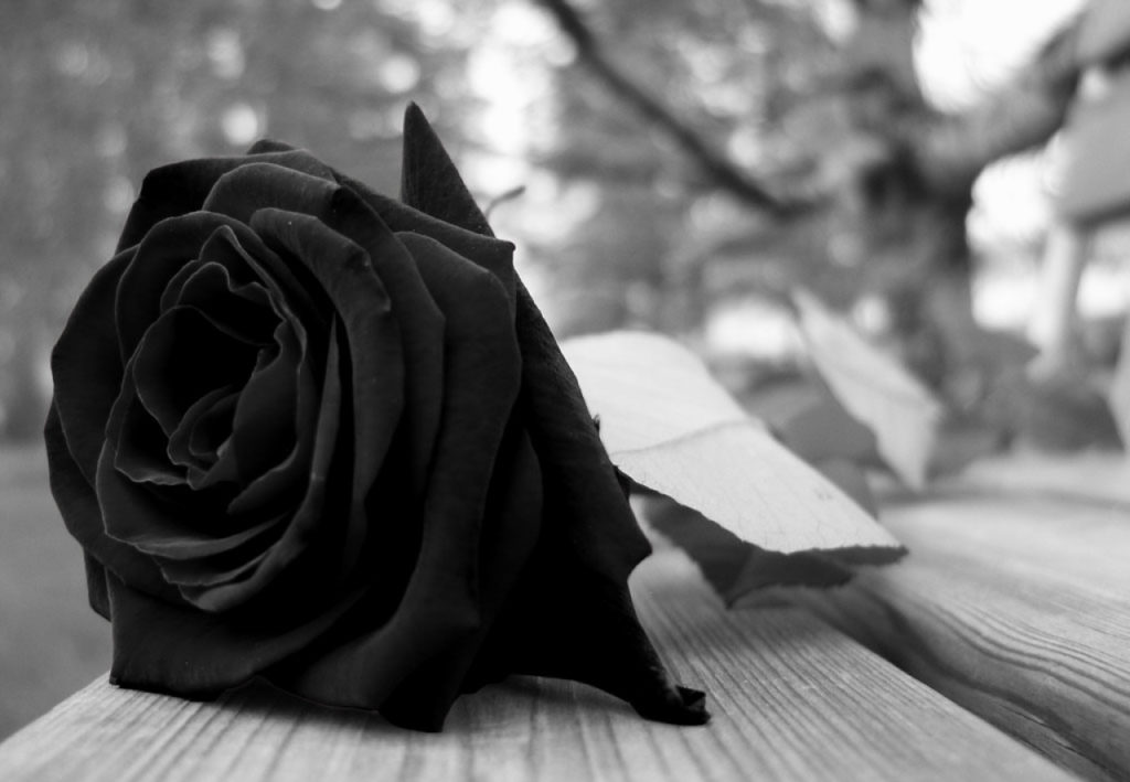 Nota de Pesar - Ana da Costa Muino