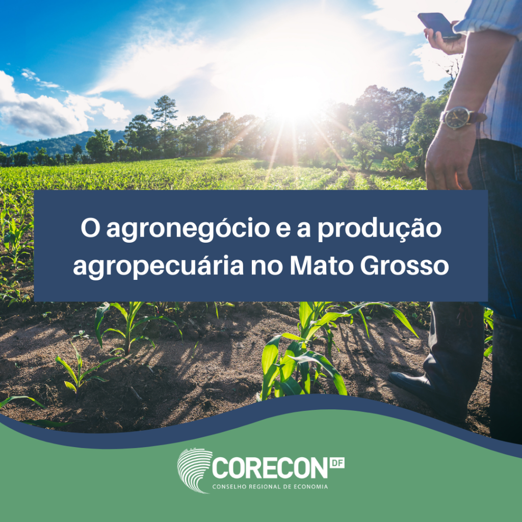 O agronegócio e a produção agropecuária no Mato Grosso