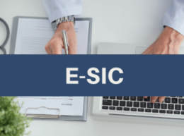 E-SIC-min